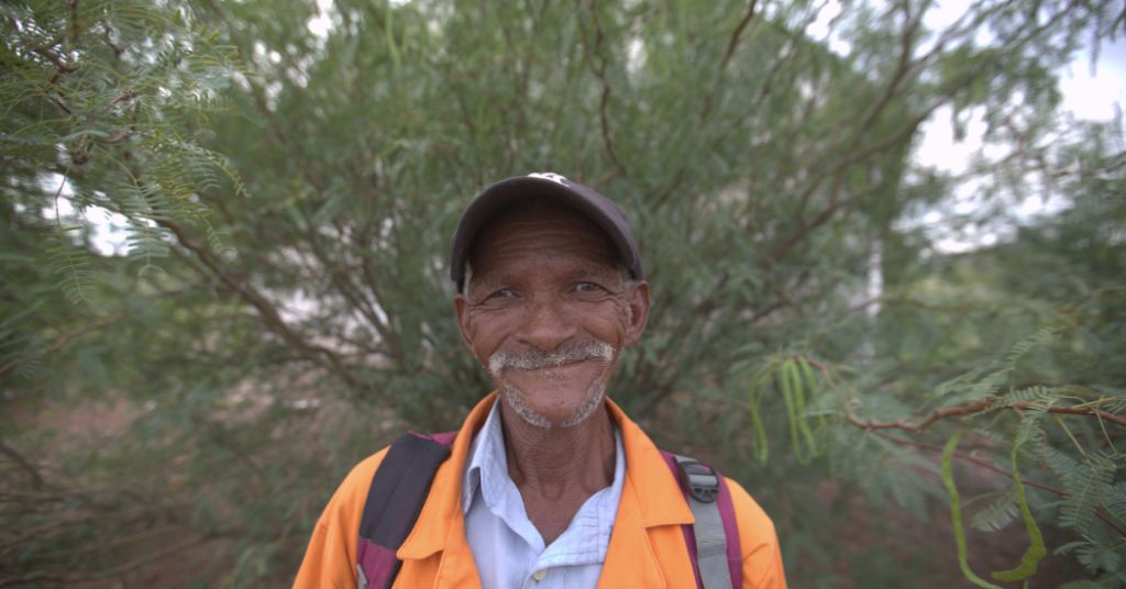 The History of the Mesquite Tree in South Africa