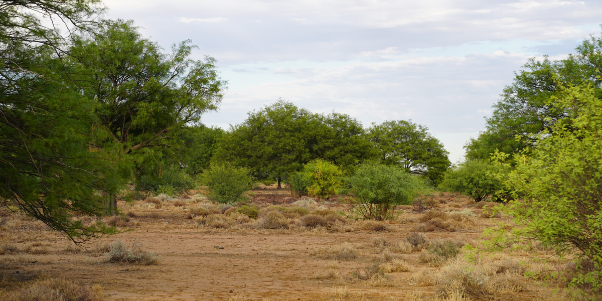 The Water-Smart Brew: How MannaBrew Protects South African Farmland