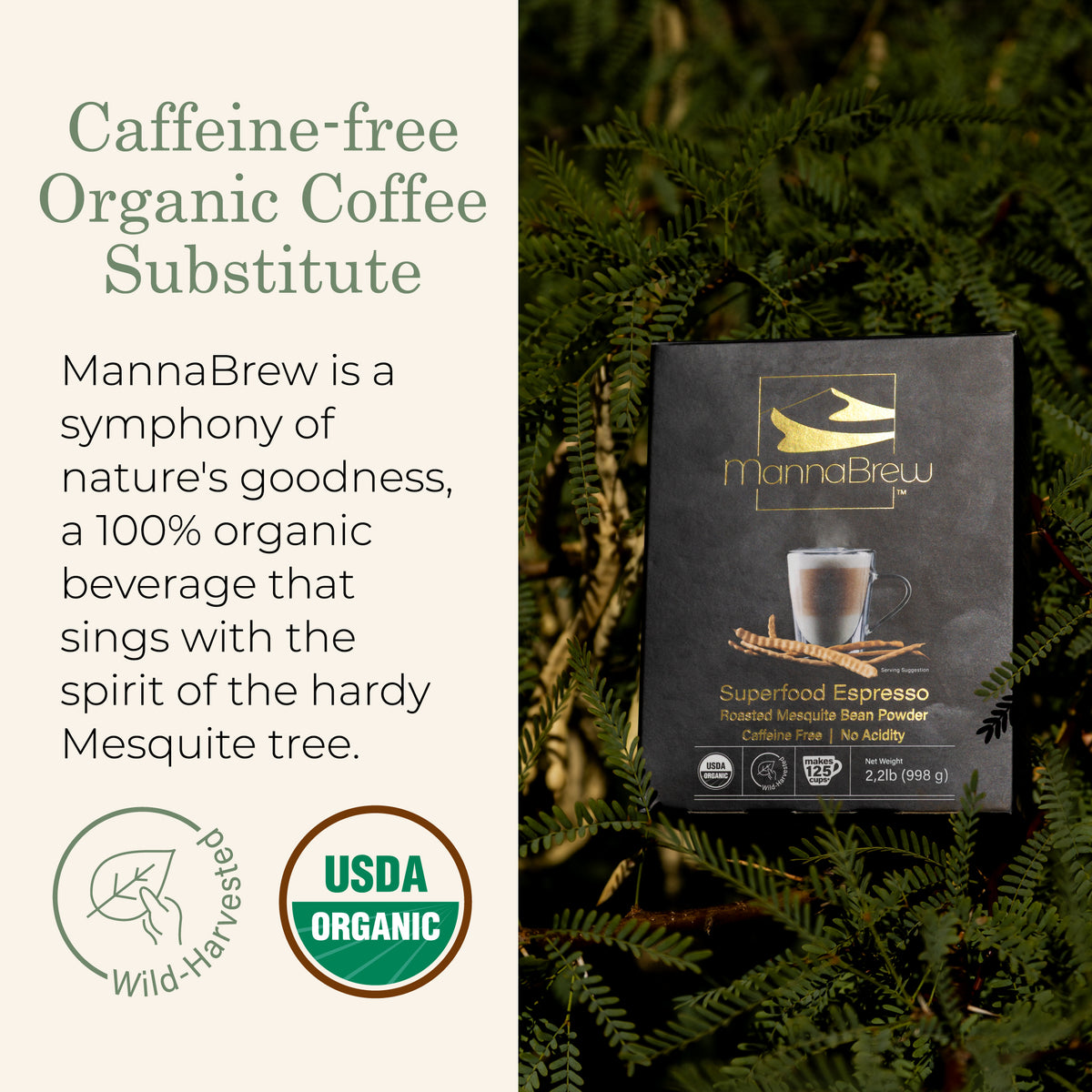 MannaBrew Superfood Espresso - 998g Box